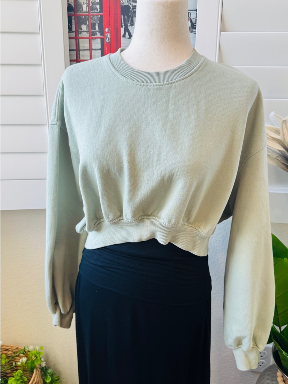 Zara. Size M. Sage Green Cropped Sweatshirt
